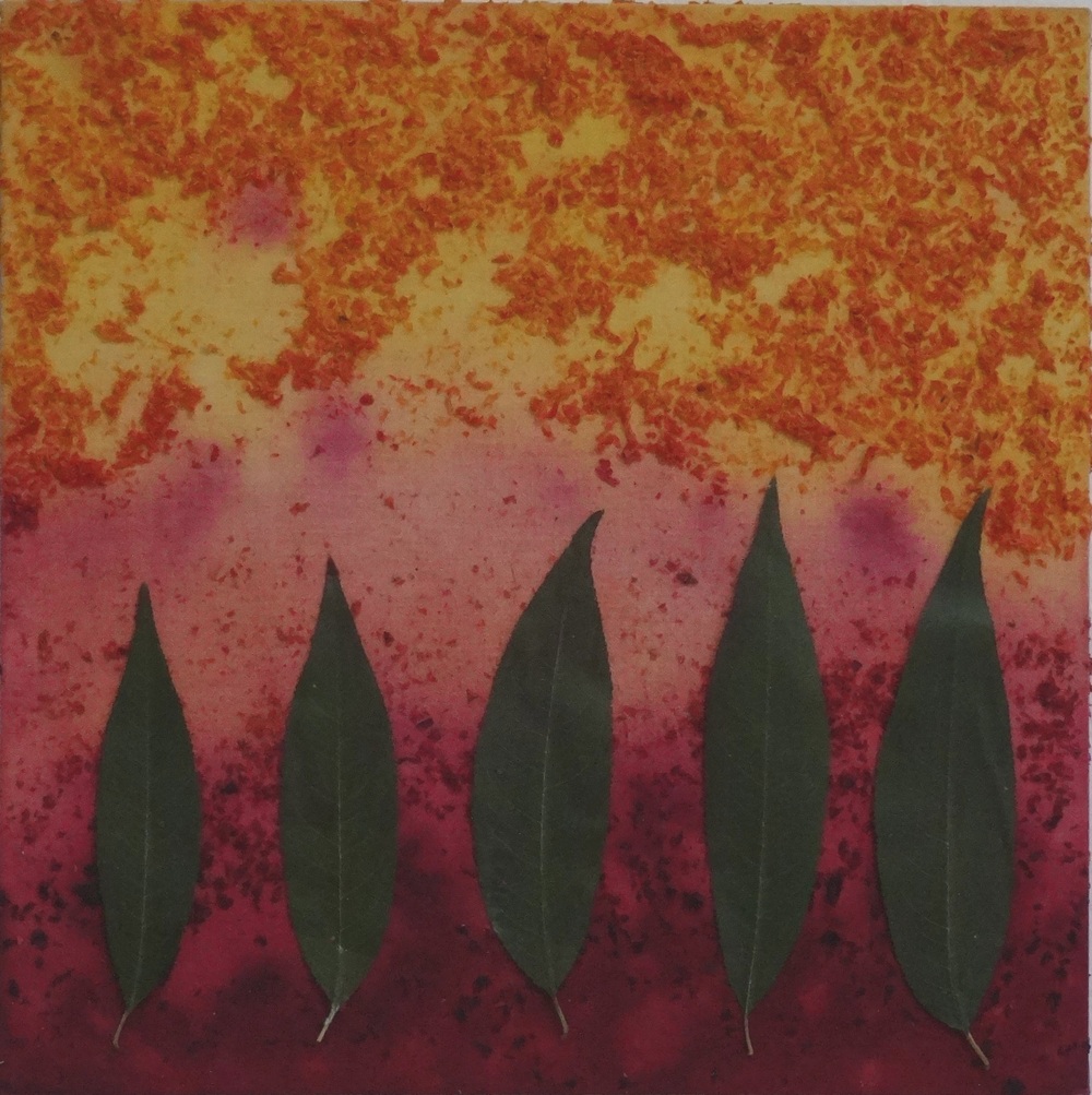 Hokaido, Weidenblätter, rote Beete